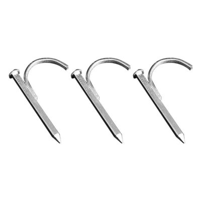 品質  High Hardness Galvanized Pipe Hook Nails Support Customization 工場